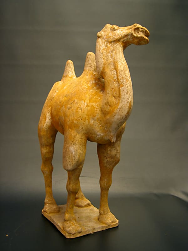 Tang Sculpture of a Camel, 618 CE - 907 CE