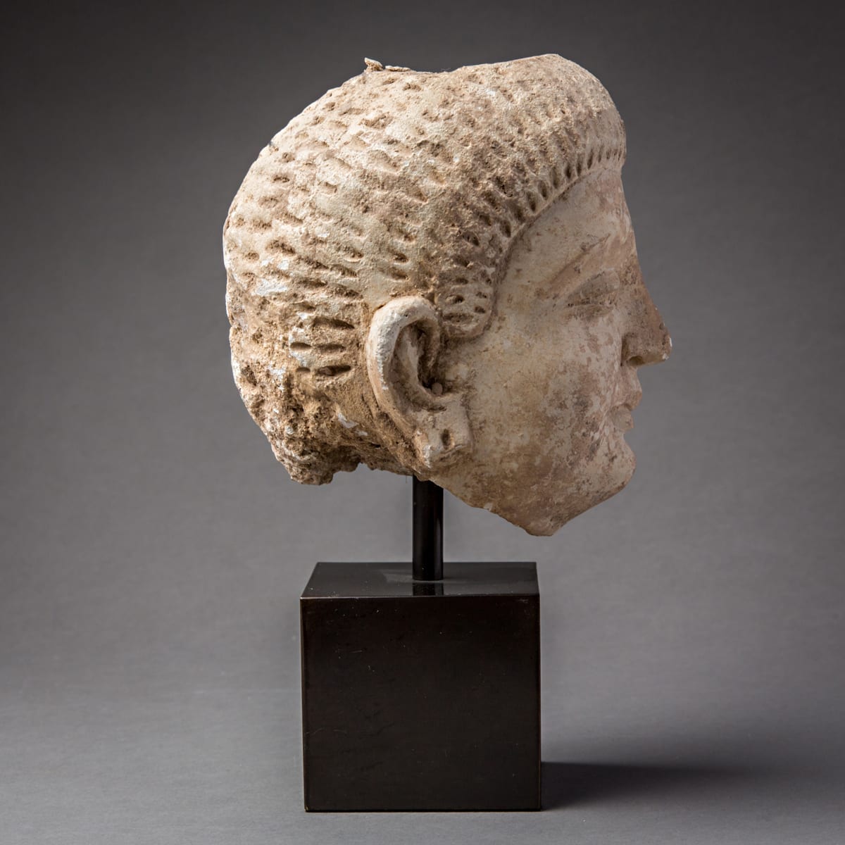 Gandharan Stucco Head, 100 CE - 300 CE