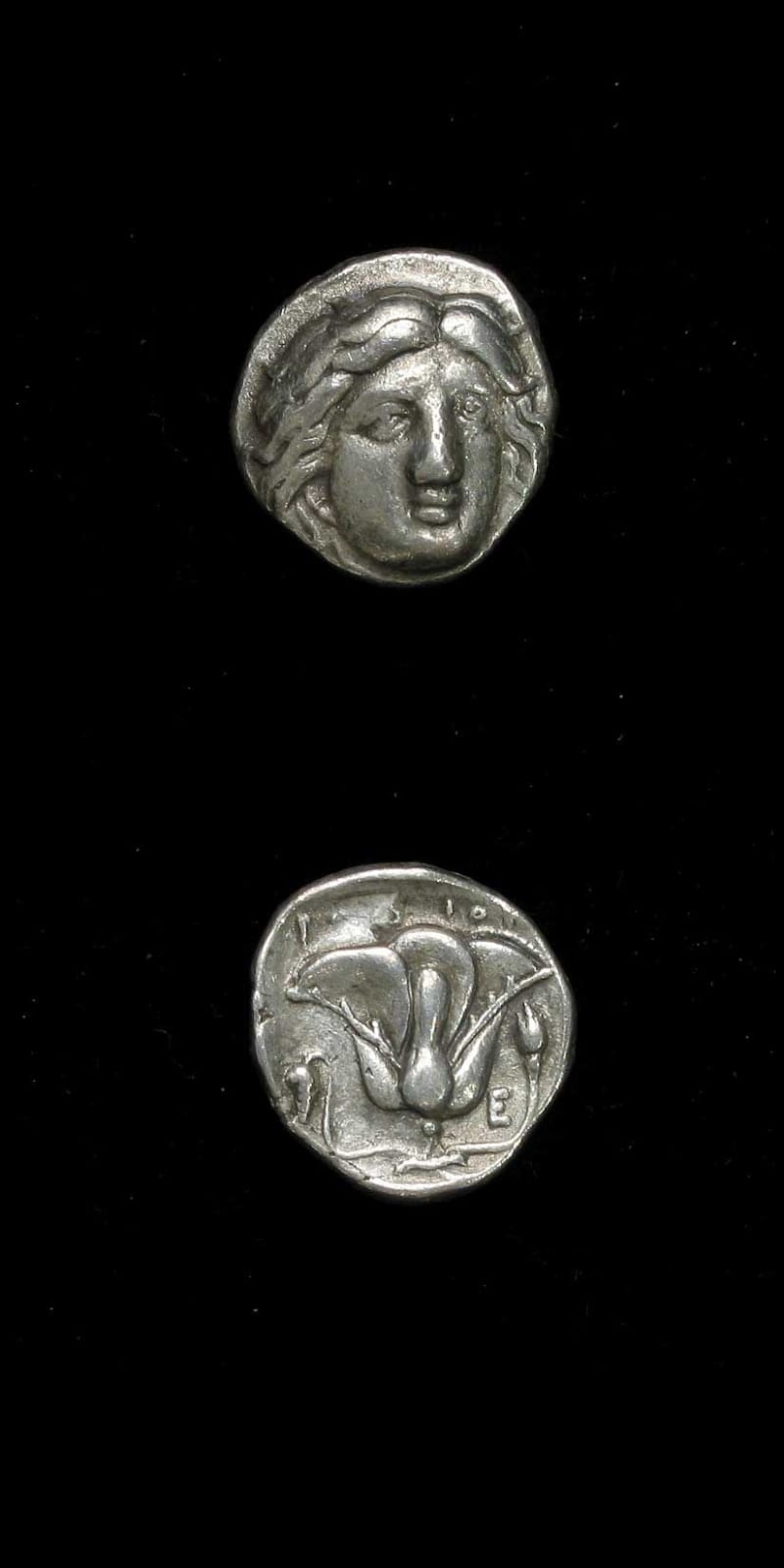 Silver Stater of Rhodes, 4 Century BCE - 3rd Century BCE