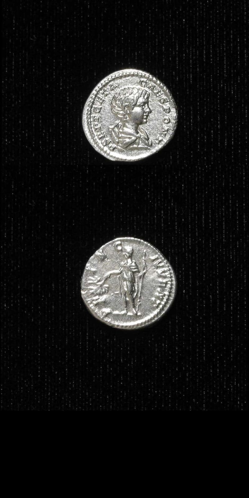 Silver Denarius of Geta Struck While Caesar, 199 CE - 202 CE