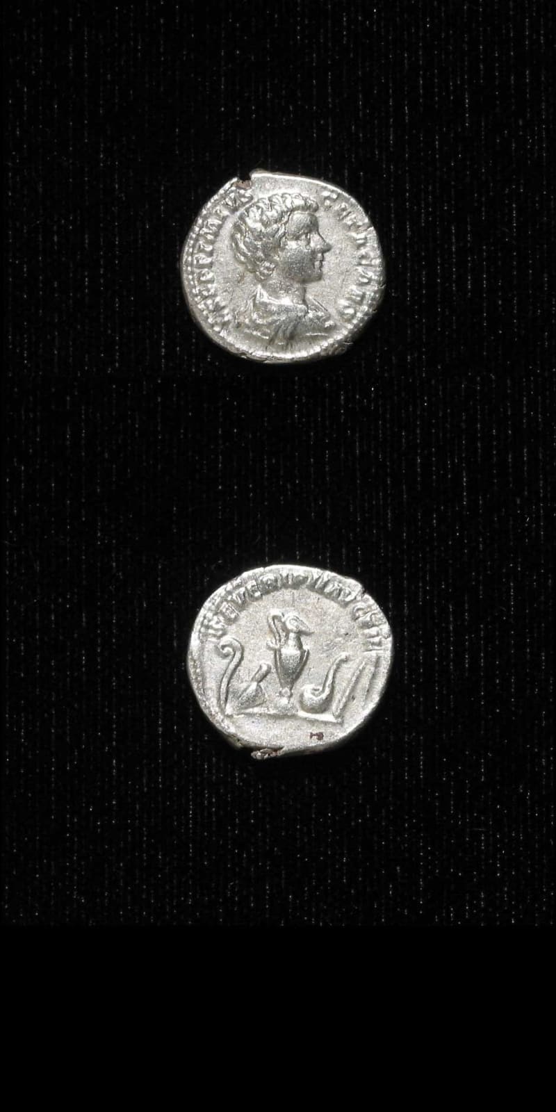 Silver Denarius of Geta Struck While Caesar, 199 CE - 200 CE