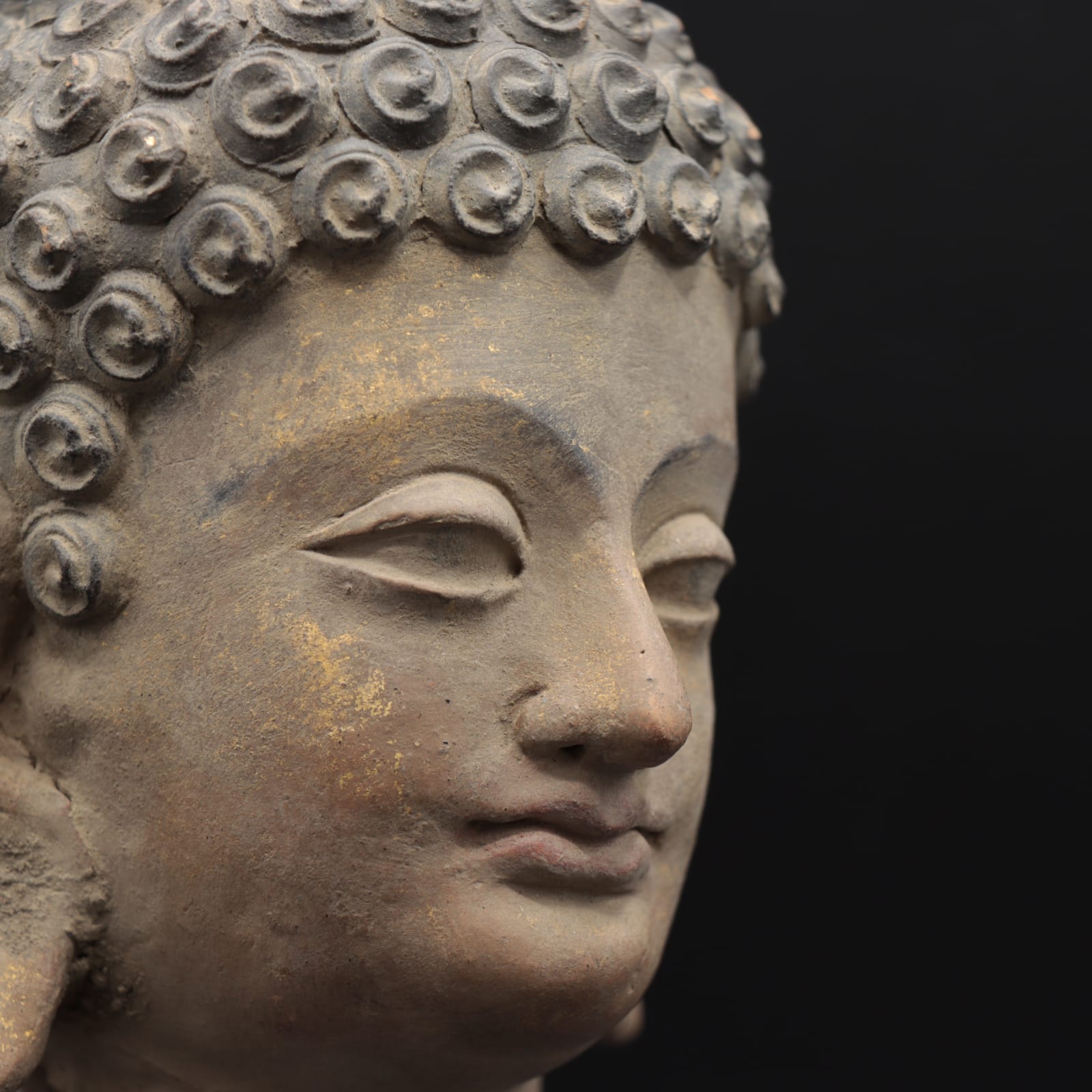 Gandharan Stucco Head of the Buddha, 100 to 300 CE
