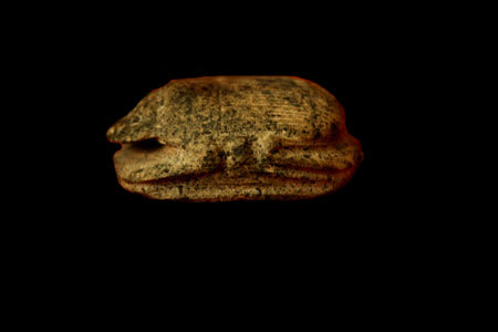 Middle/New Kingdom Stone Scarab, 2000 BCE - 1000 BCE