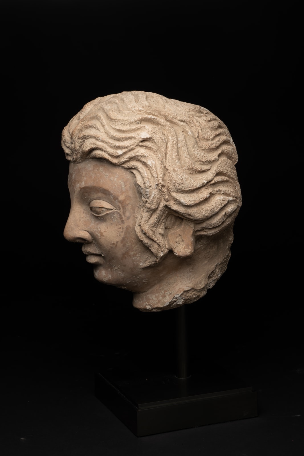 Gandhara Stucco Head, 300 CE - 600 CE