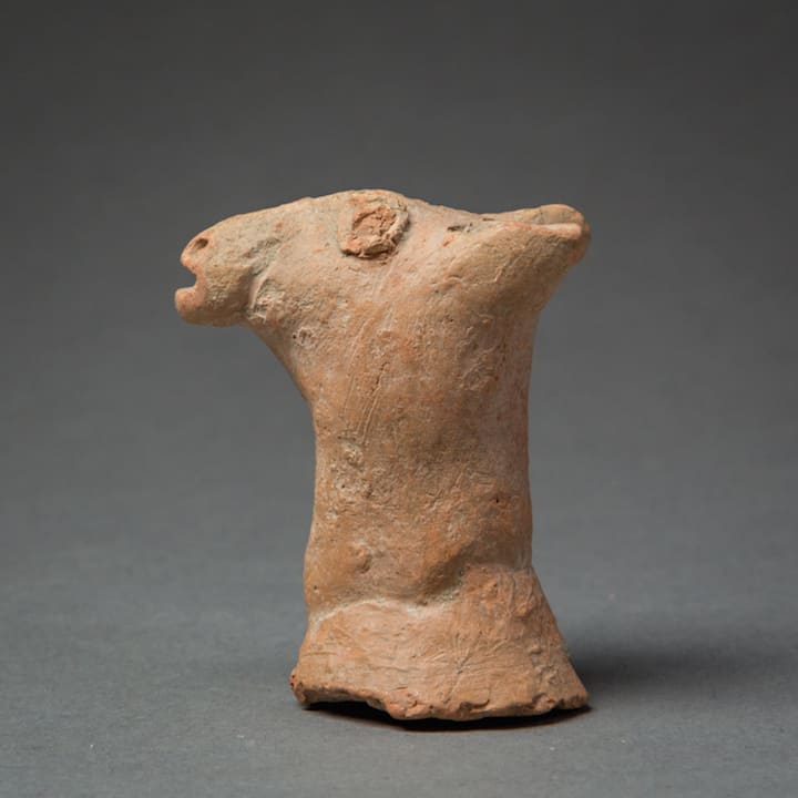 Terracotta Zoomorphic Head, 1500 BCE - 500 BCE