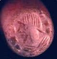 Sassanian Agate Intaglio Seal, 200 CE - 600 CE