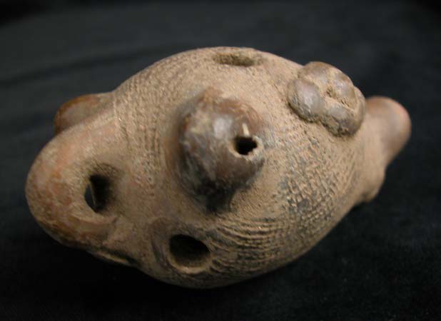 Ocarina in the Form of an Armadillo's Head, 800 CE - 1200 CE