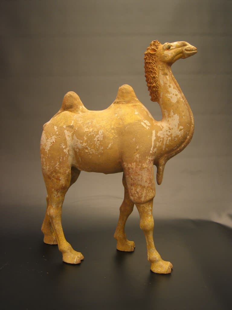 Tang Dynasty Painted Pottery Walking Camel, 618 CE - 907 CE