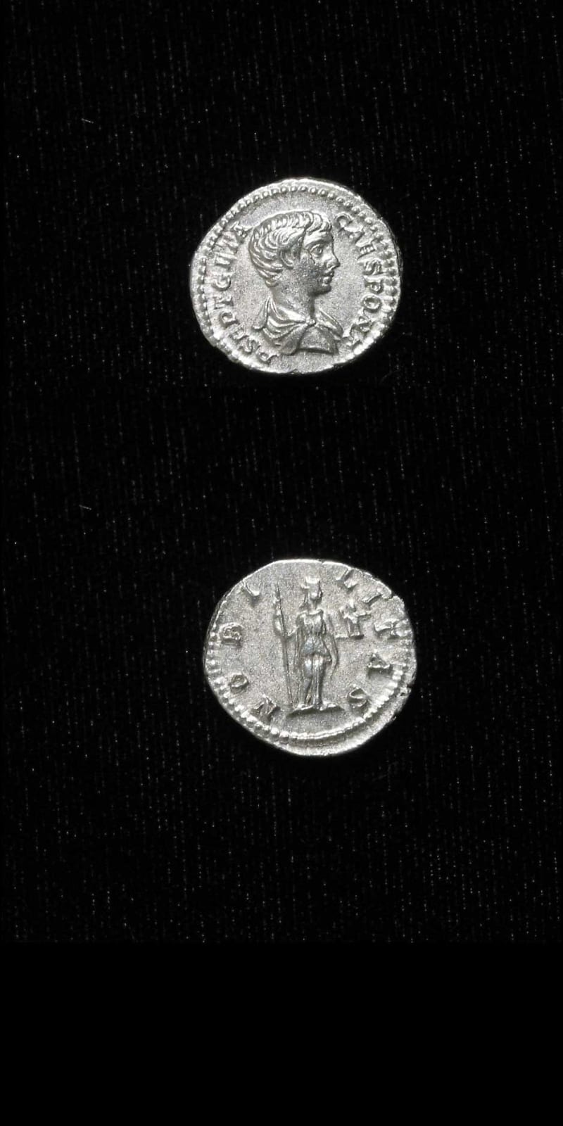 Silver Denarius of Geta Struck While Caesar, 199 CE - 202 CE