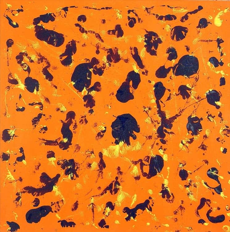 Synergy 42 S, 2011 CE