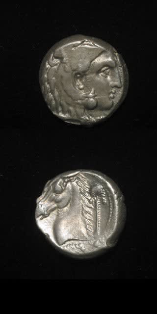 Siculo-Punic Silver Tetradrachm, 320 BCE - 300 BCE