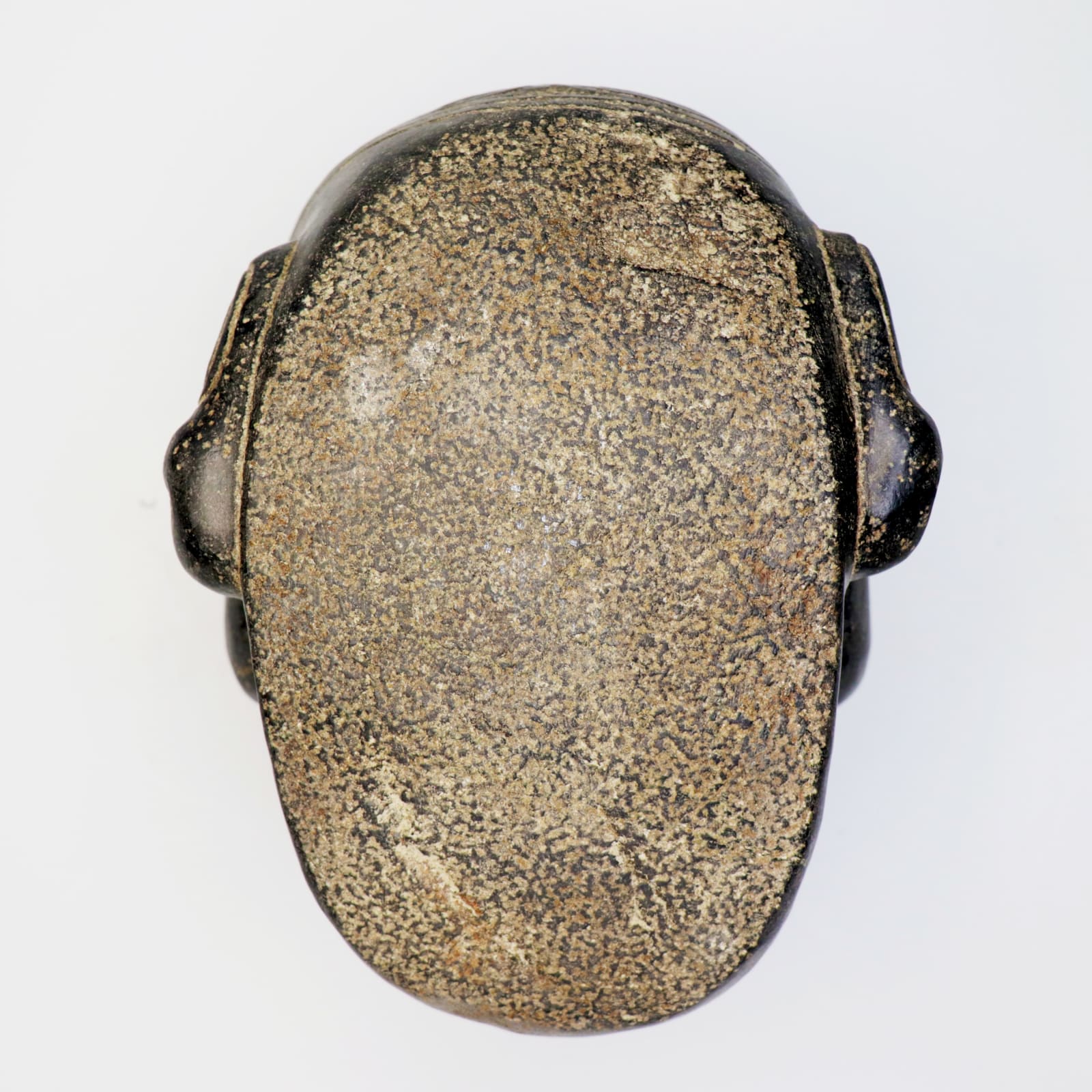 Taíno 'Macorix' Skull, AD 1300 - AD 1500