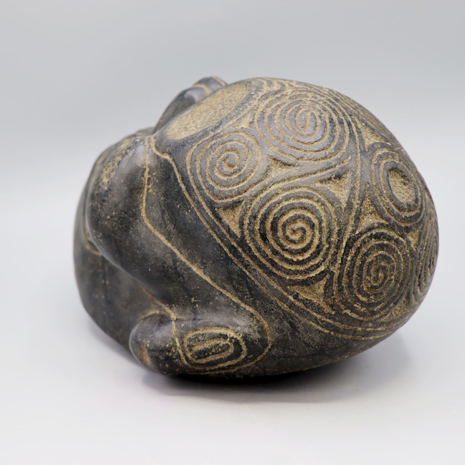 Taíno 'Macorix' Skull, AD 1300 - AD 1500