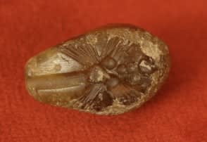 Babylonian Stone Duck Weight, 2000 BCE - 1000 BCE