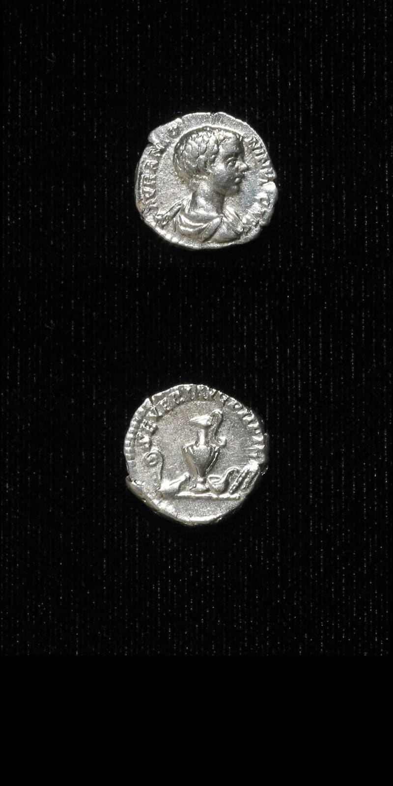 Silver Denarius of Caracalla Struck While Caesar, 196 CE - 198 CE