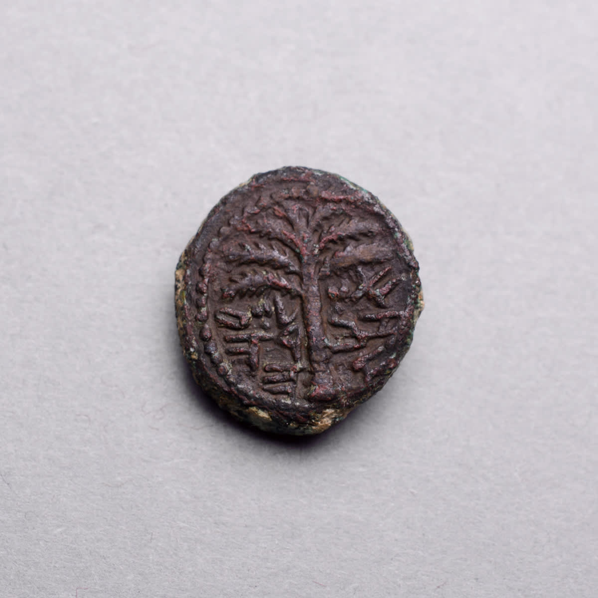 Bronze Coin Minted During the Bar Kochba Revolt, 132 CE - 133 CE