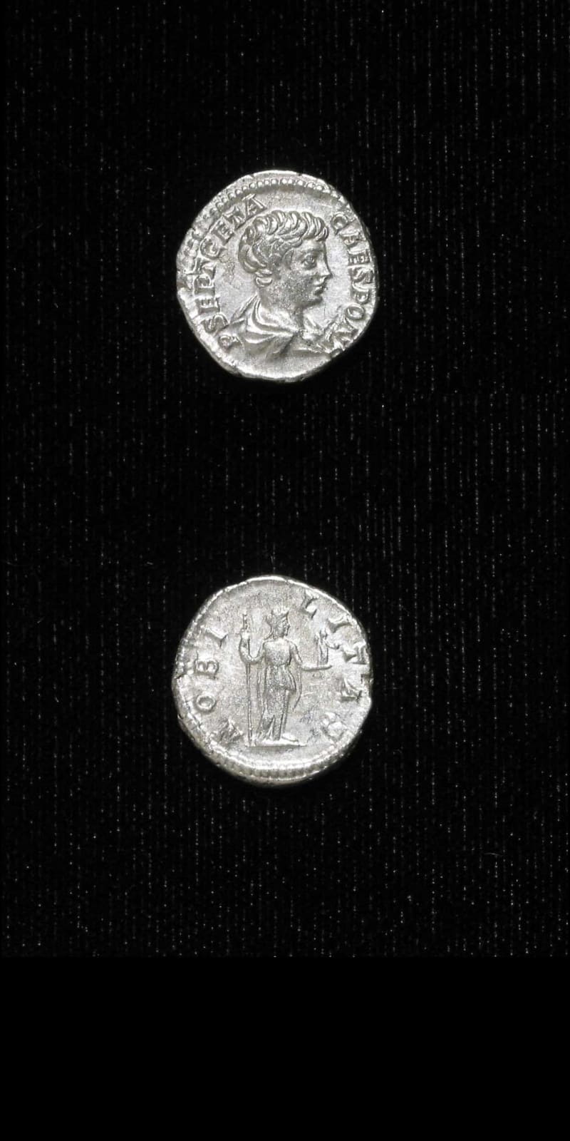 Silver Denarius of Geta Struck While Caesar, 199 CE - 202 CE