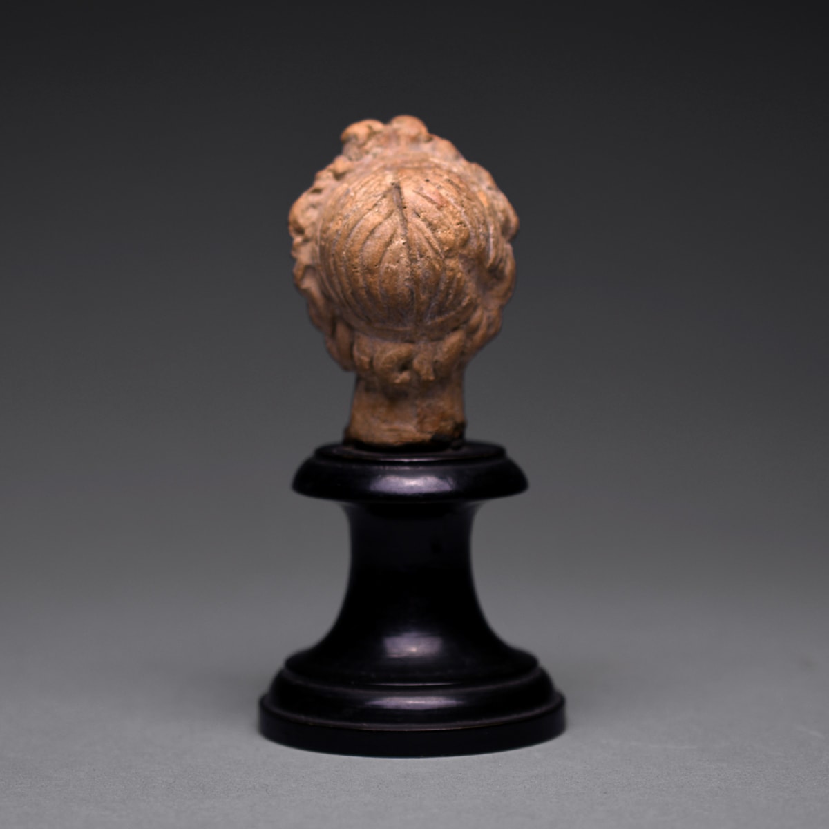 Hellenistic Terracotta Head of a Young Man