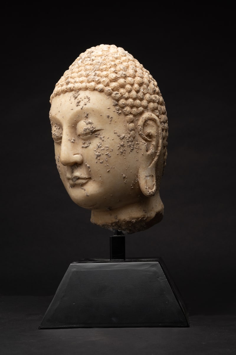 Northern Qi or Sui Marble Head of a Buddha, 550 CE - 618 CE