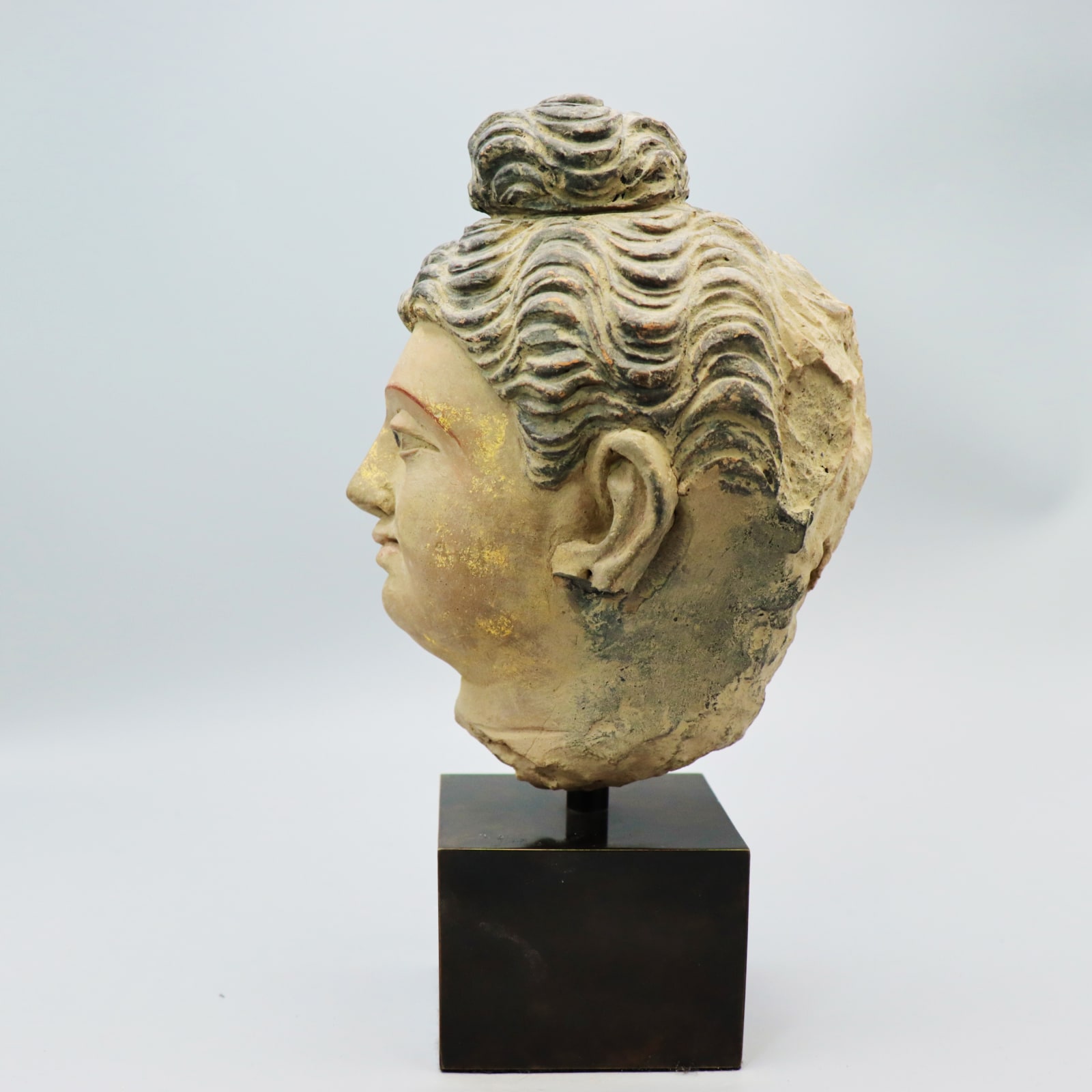 Gandharan Stucco Head of the Buddha, Fourth to Fifth Century AD