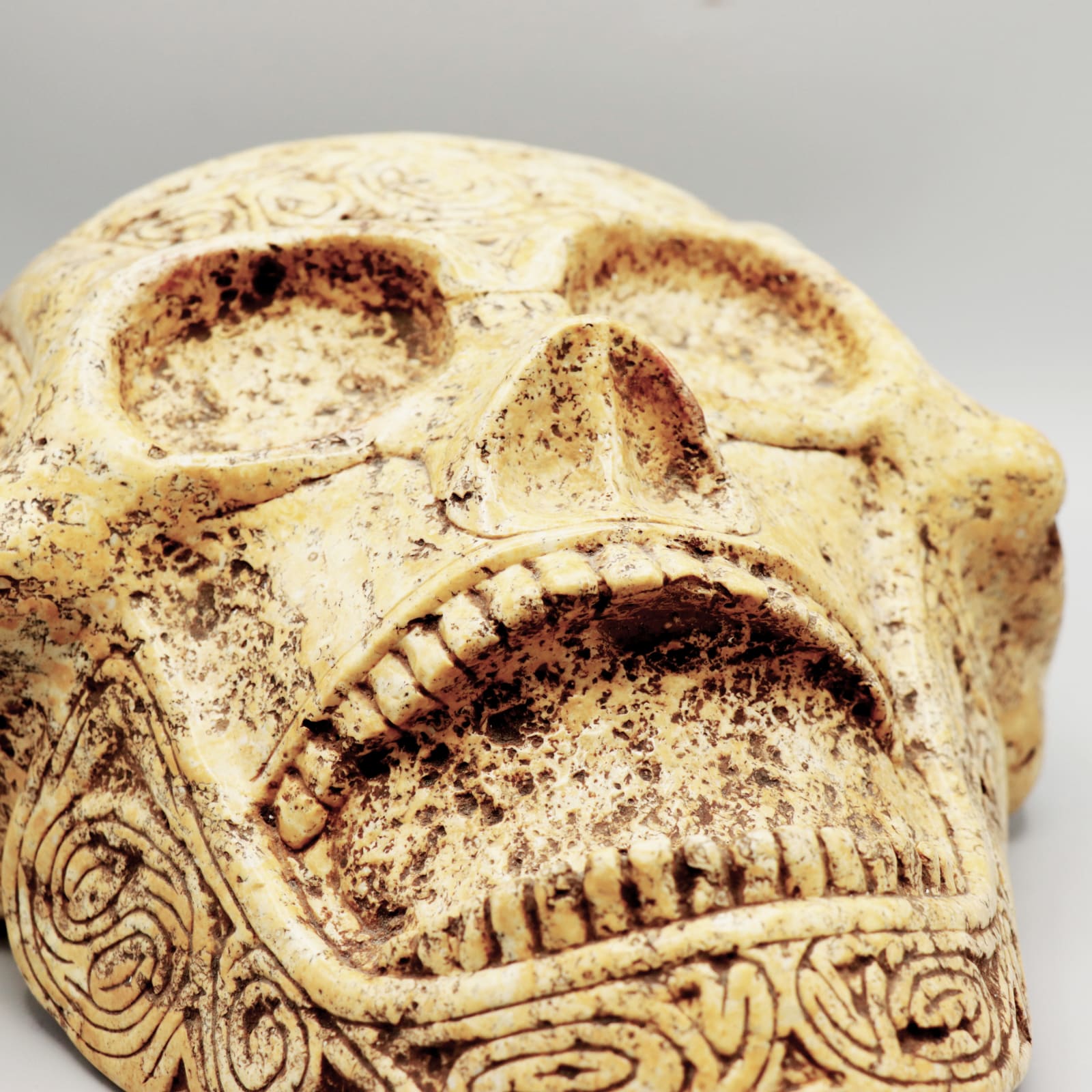 Taíno 'Macorix' Decorated Skull, 1400 CE - 1500 CE