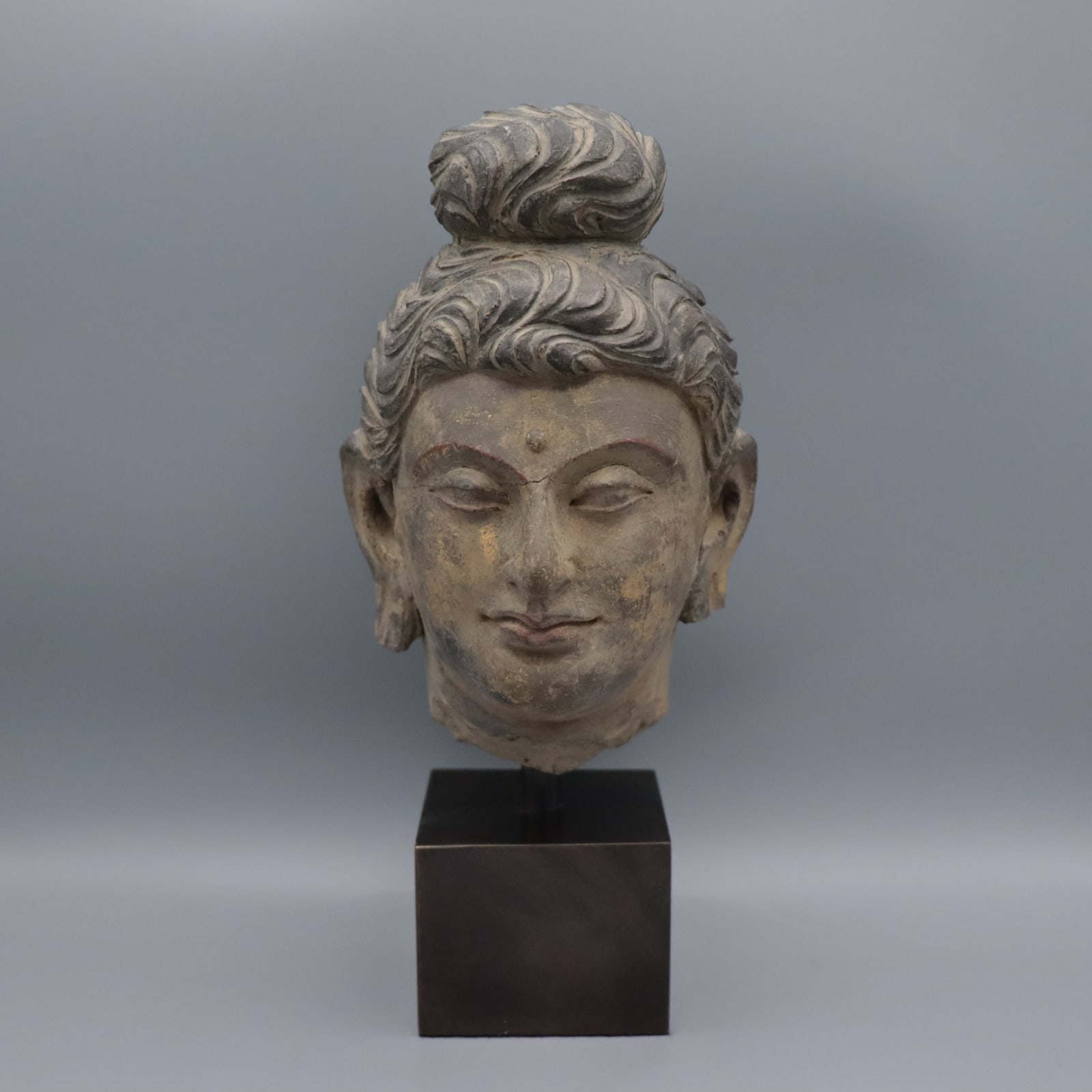 Gandharan Stucco Head of the Buddha, 100 to 300 CE