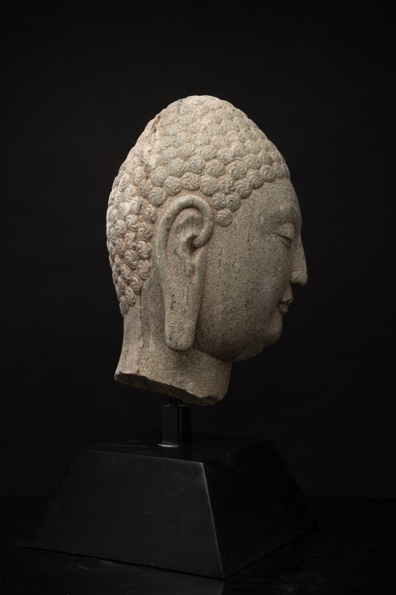 Sui Stone Head of a Buddha, 581 CE - 618 CE