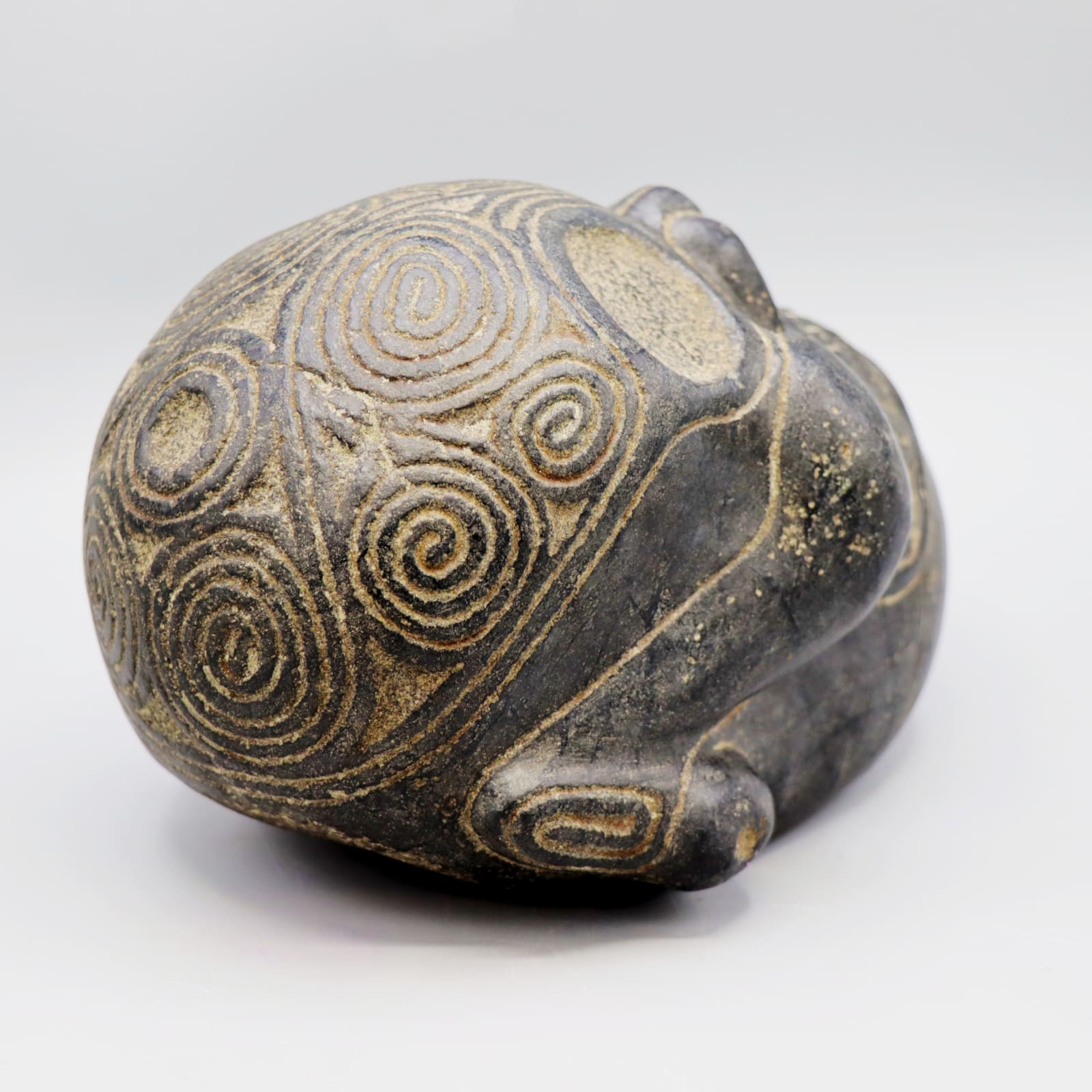 Taíno 'Macorix' Skull, AD 1300 - AD 1500