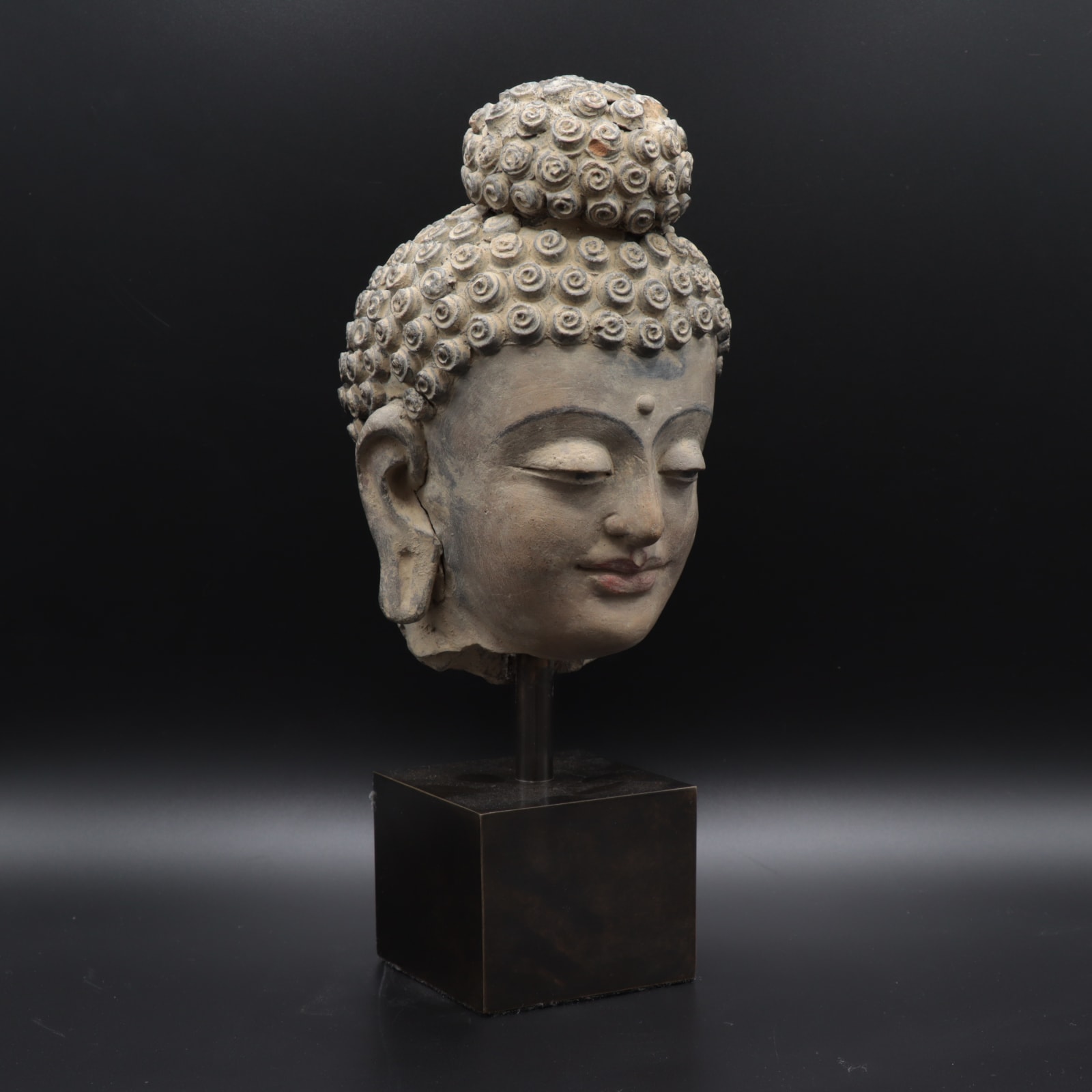 Gandharan Stucco Head of the Buddha, 100 to 300 CE