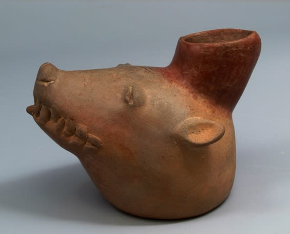 Colima Vessel in the Form of an Animal Head, 300 BCE - 300 CE