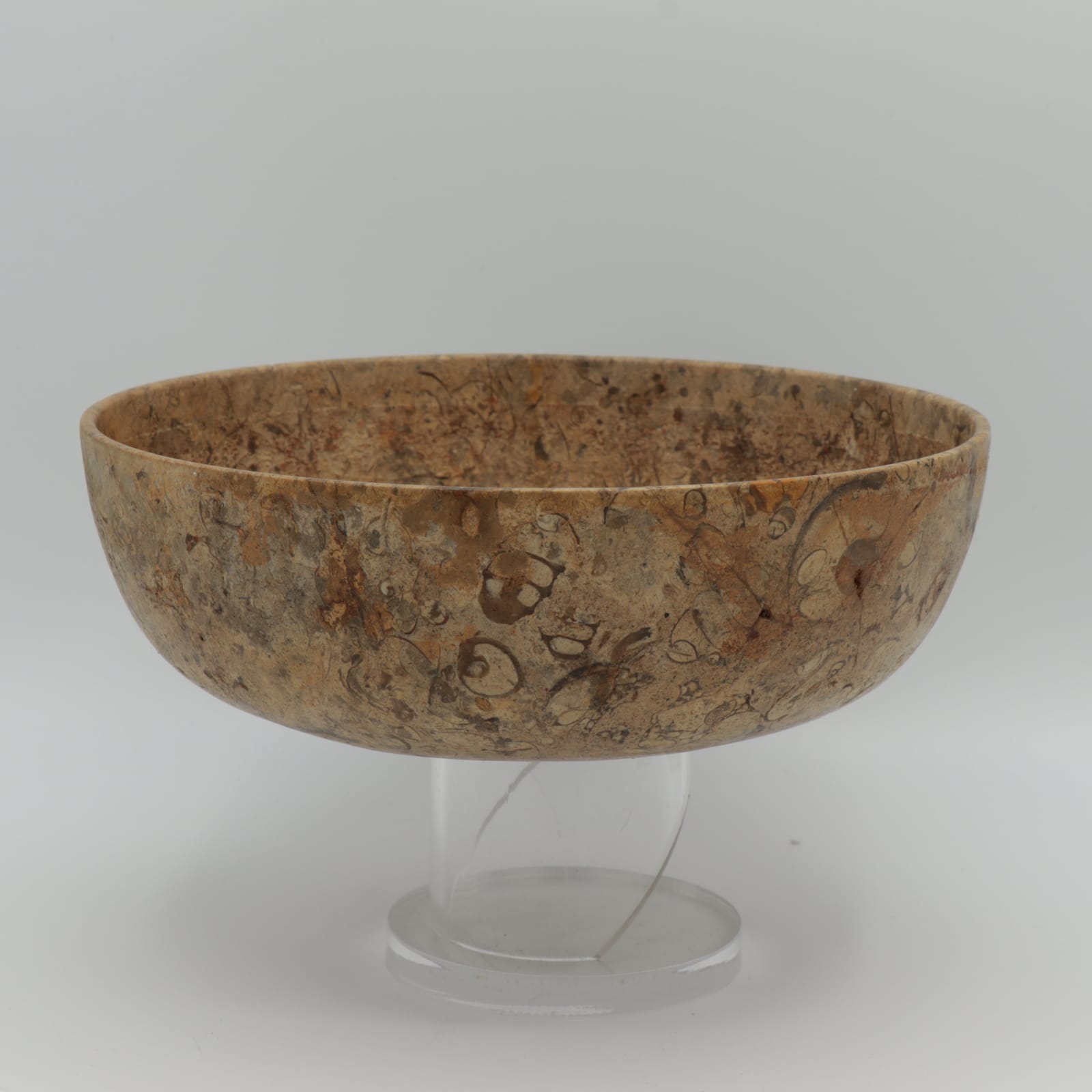 Predynastic Fossilised Conglomerate Bowl, 3600 BCE - 2600 BCE