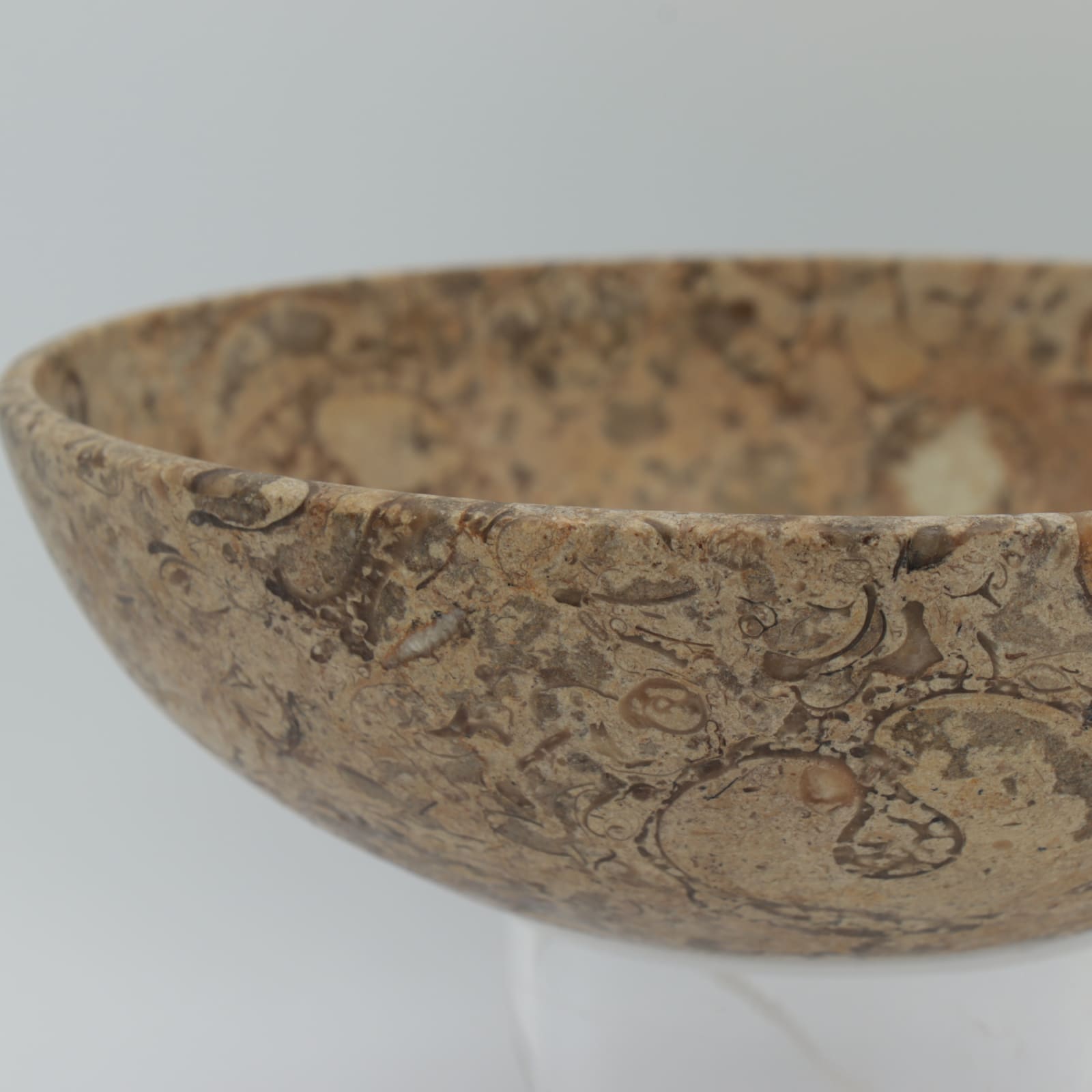 Predynastic Shallow Bowl Made From Fossilised Conglomerate, 3600 BCE - 2600 BCE
