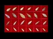 Set of Twenty-Four Neolithic Flint Arrowheads, 6000 BCE - 4000 BCE