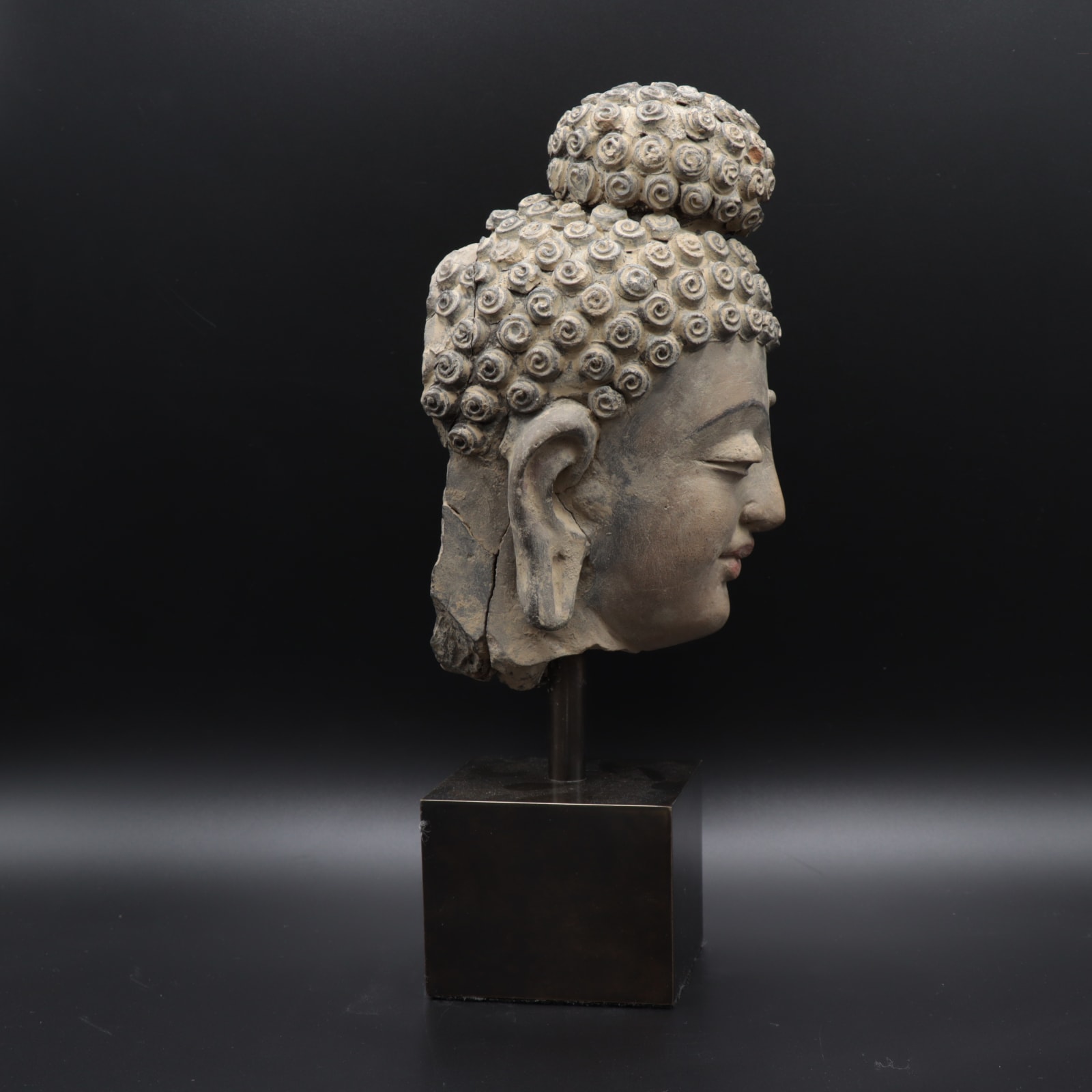 Gandharan Stucco Head of the Buddha, 100 to 300 CE