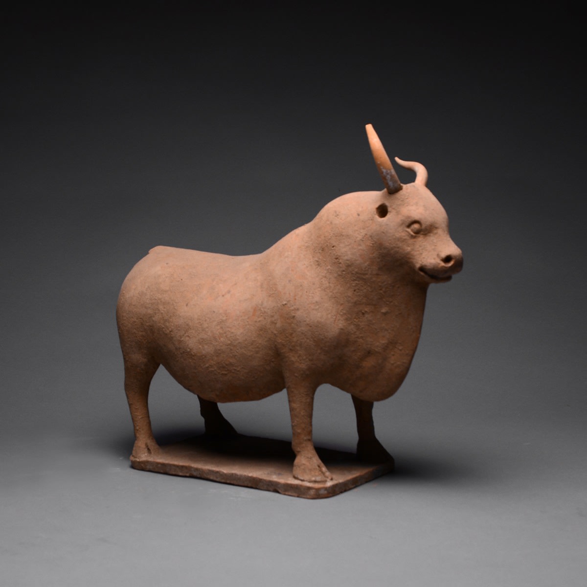 Tang Sculpture of an Ox with Removable Horns, 618 CE - 906 CE