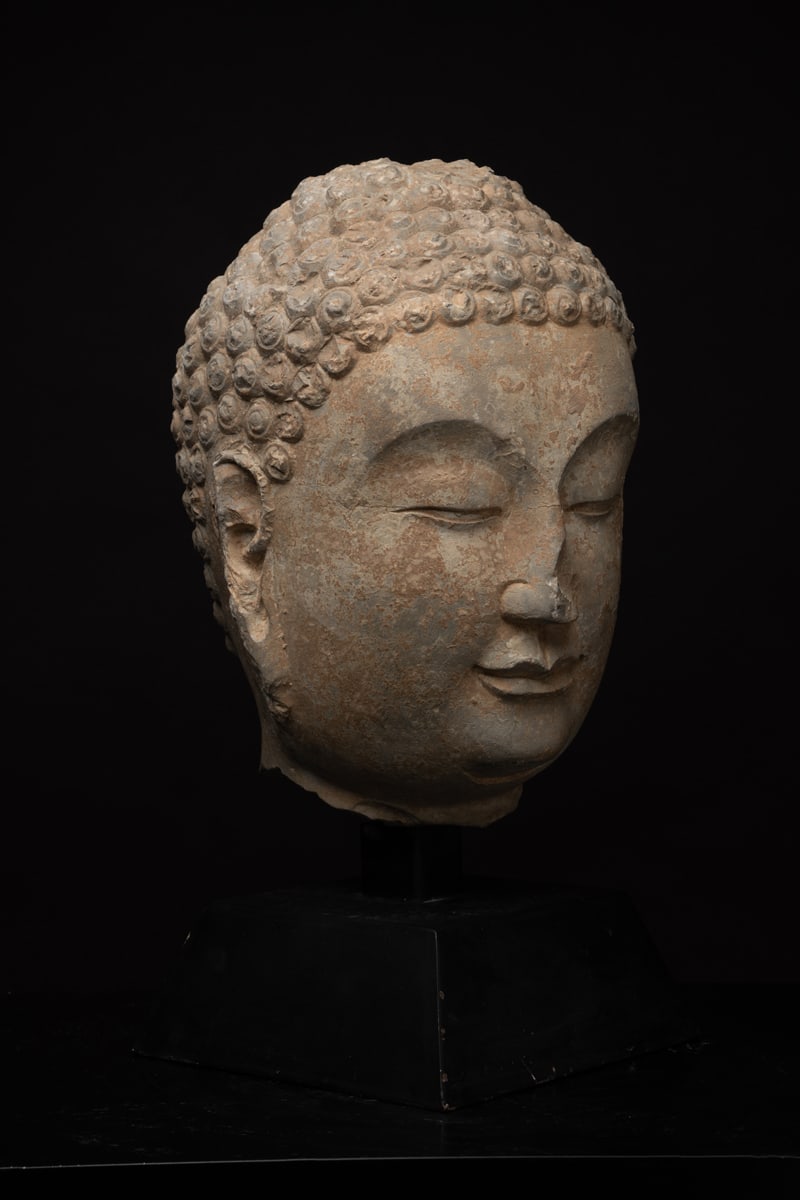 Sui Stone Head of a Buddha, 581 CE - 618 CE