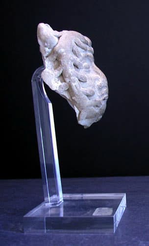 Roman Period Terracotta Sculpture of a Human Face, 100 CE - 300 CE