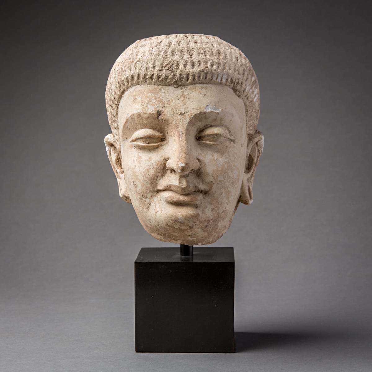 Gandharan Stucco Head, 100 CE - 300 CE
