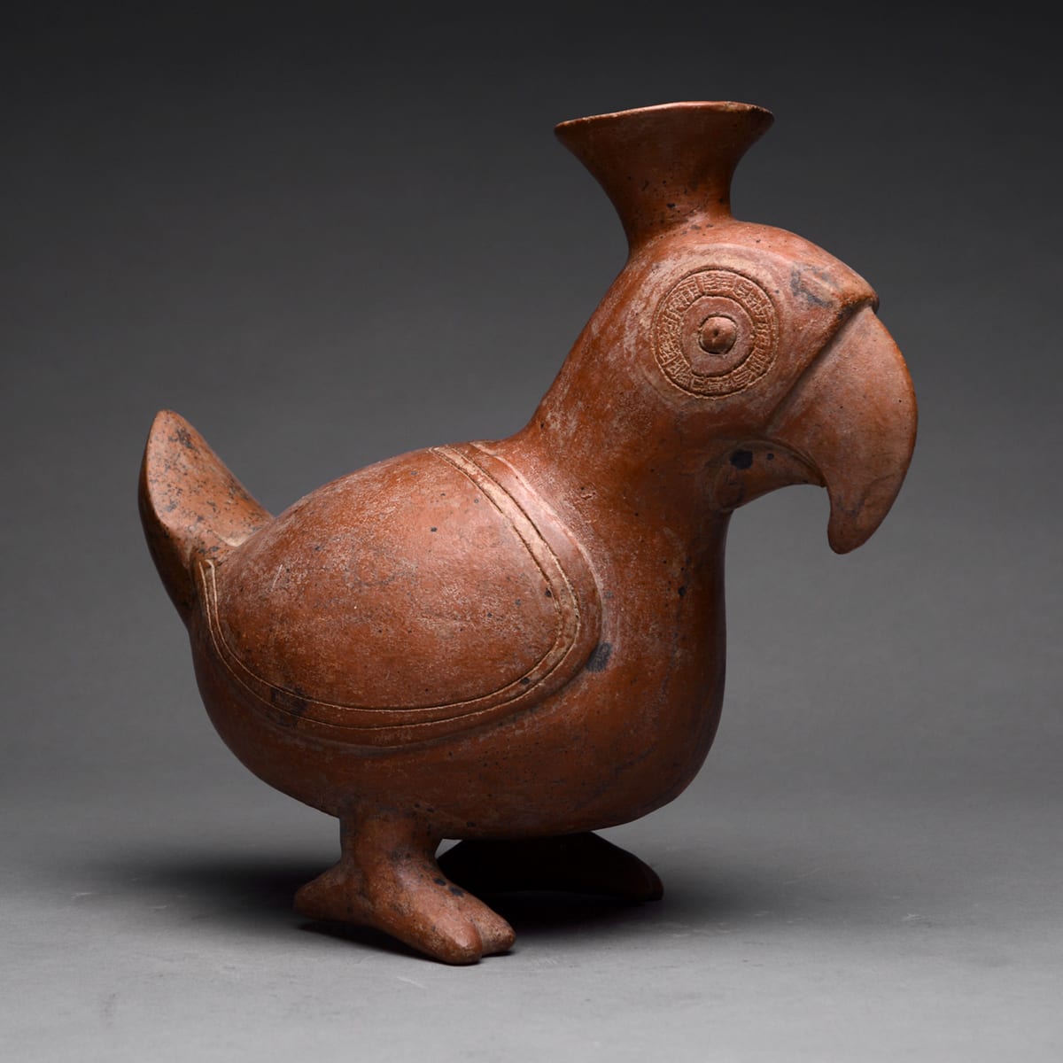 Colima Terracotta Vessel in the Form of a Parrot, 300 BCE - 300 CE