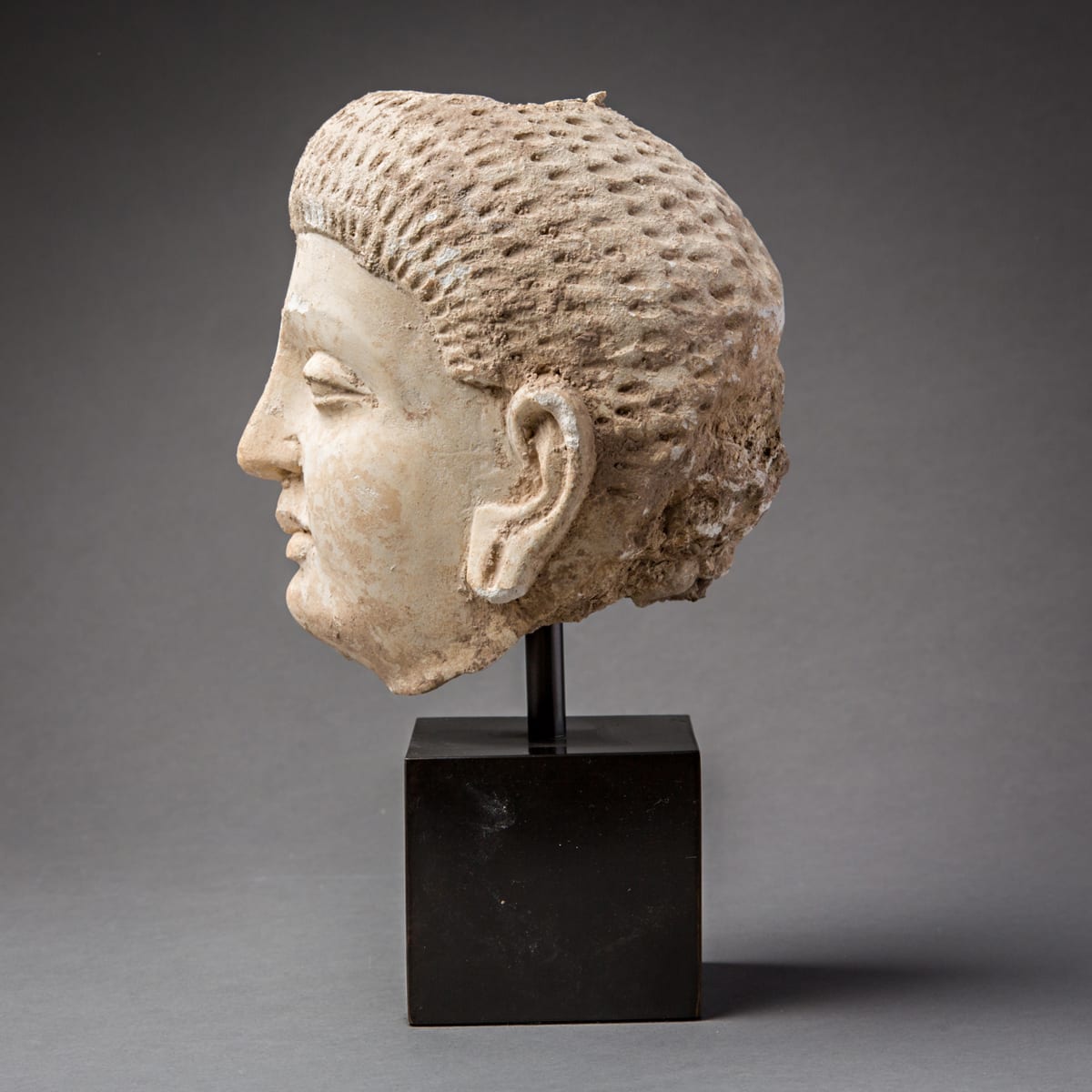 Gandharan Stucco Head, 100 CE - 300 CE