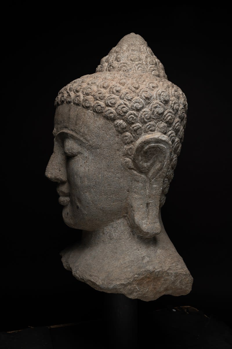 Monumental Javanese Head of the Buddha, Ninth Century AD