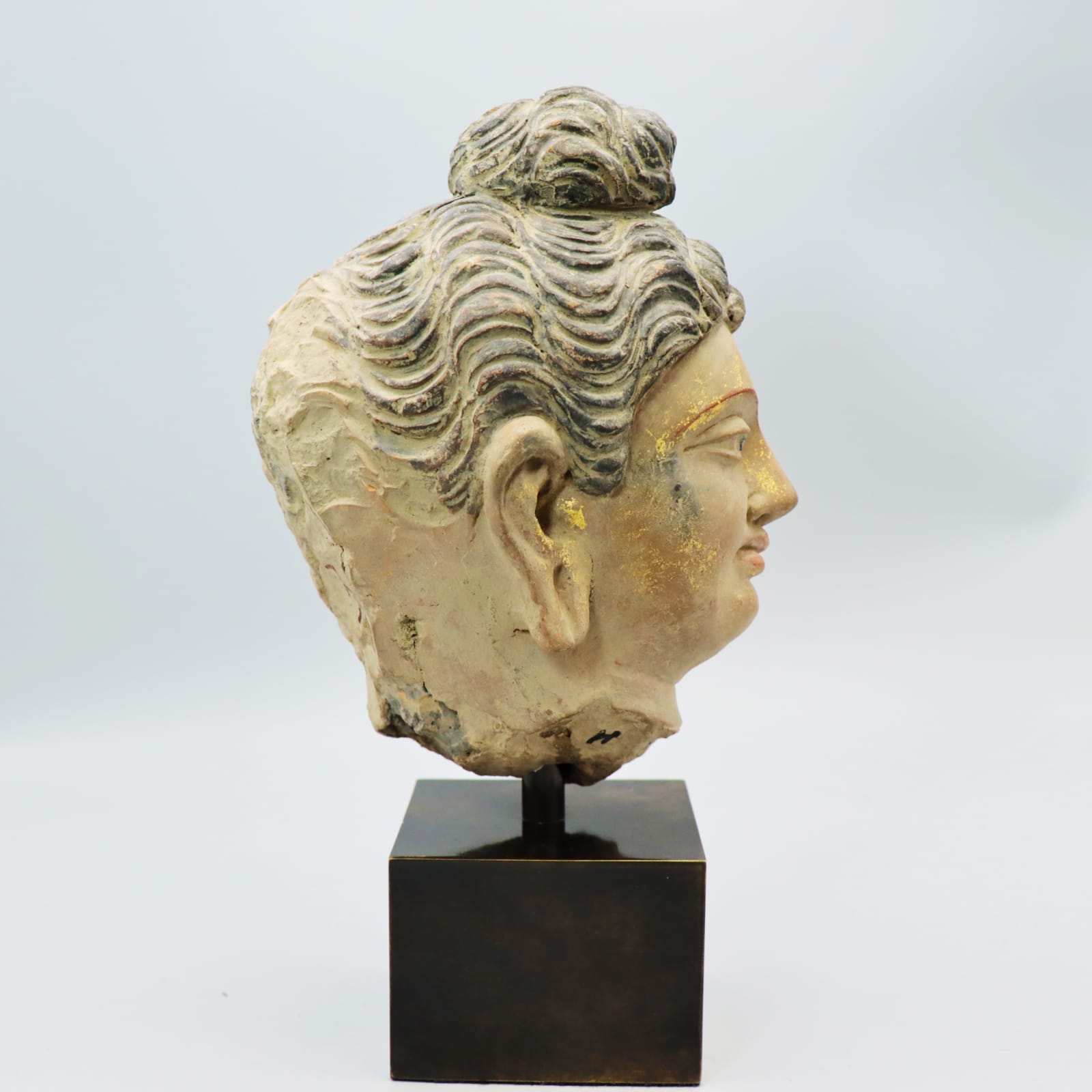 Gandharan Stucco Head of the Buddha, Fourth to Fifth Century AD