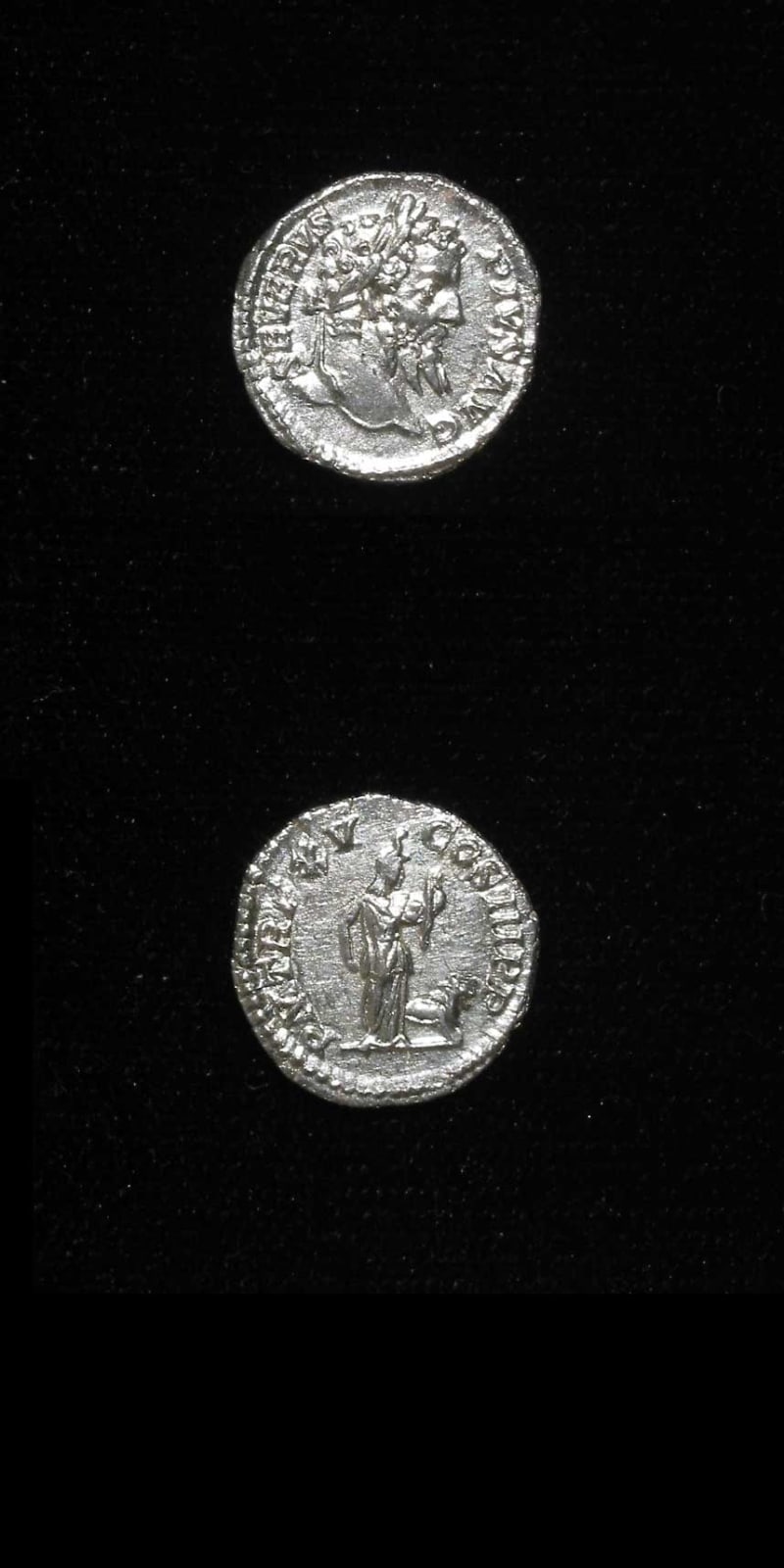 Septimius Severus