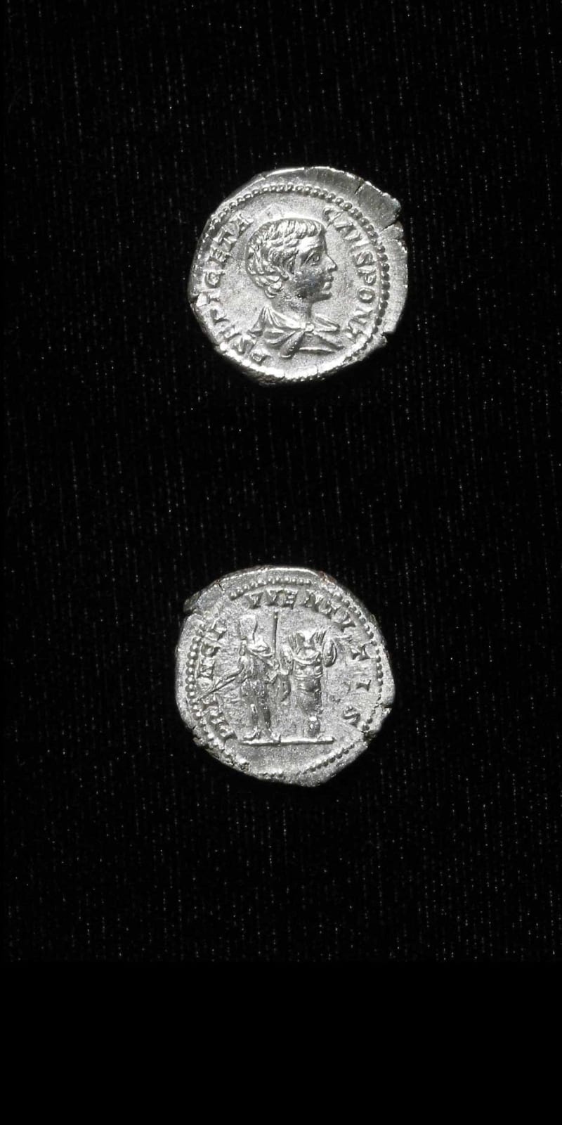 Silver Denarius of Geta Struck While Caesar, 199 CE - 202 CE