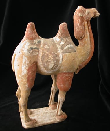 Tang Terracotta Sculpture of a Camel, 618 CE - 906 CE