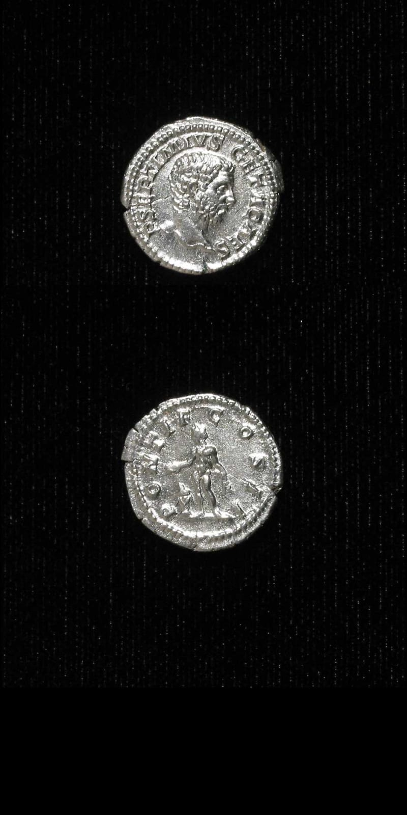 Silver Denarius of Geta Struck While Caesar, 202 CE - 209 CE