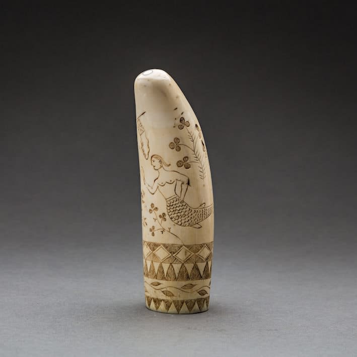 Scrimshaw Ivory, 19th Century CE