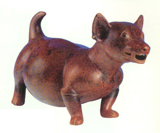 Colima Terracotta Dog Effigy, 300 BCE - 300 CE