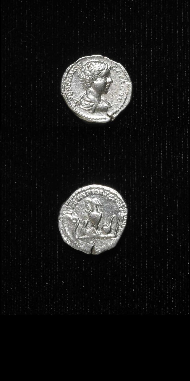 Silver Denarius of Geta Struck While Caesar, 198 CE - 200 CE