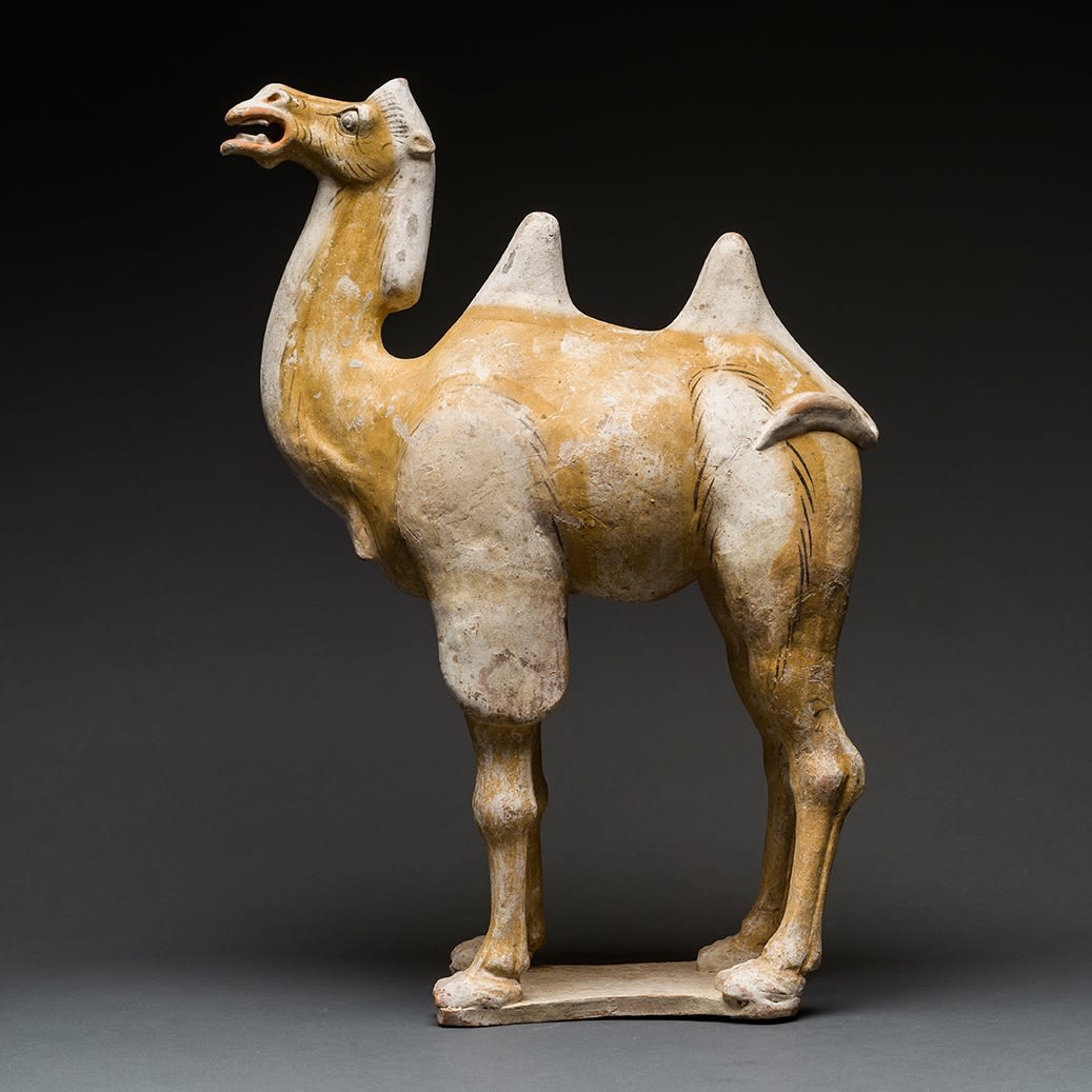 Tang Painted Terracotta Sculpture of a Camel with Removable Foreign Rider, 618 CE - 906 CE